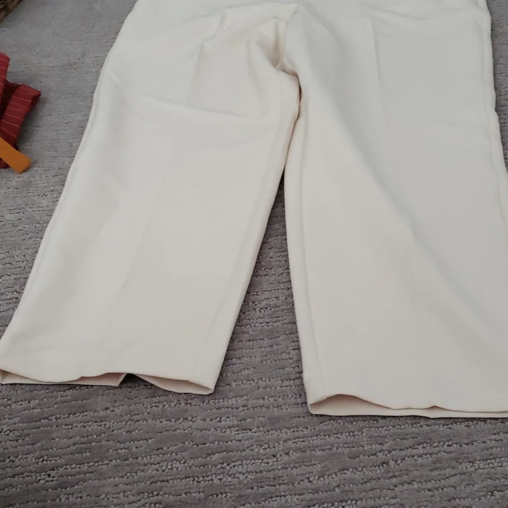 Slacks - Picture 2 of 3